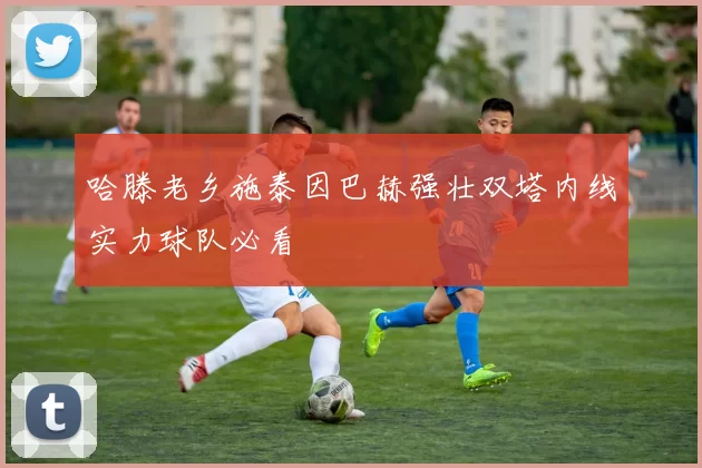 哈滕老乡施泰因巴赫强壮双塔内线实力球队必看