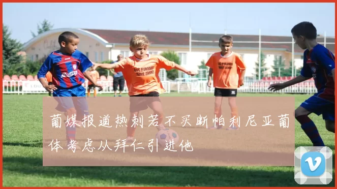 葡媒报道热刺若不买断帕利尼亚葡体考虑从拜仁引进他